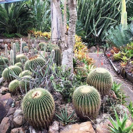 Ancient Gardens Guesthouse & Botanical Gardens Eudlo Ngoại thất bức ảnh