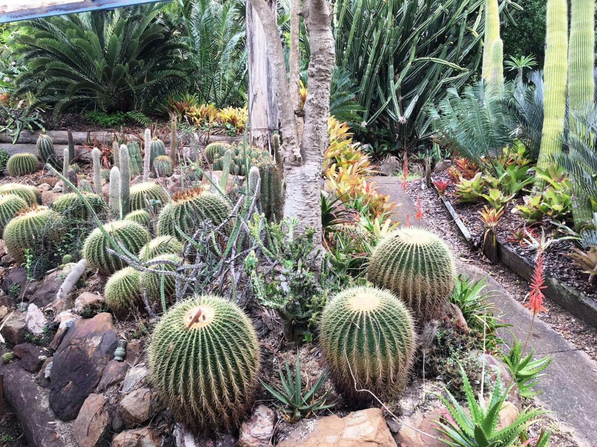 Ancient Gardens Guesthouse & Botanical Gardens Eudlo Ngoại thất bức ảnh